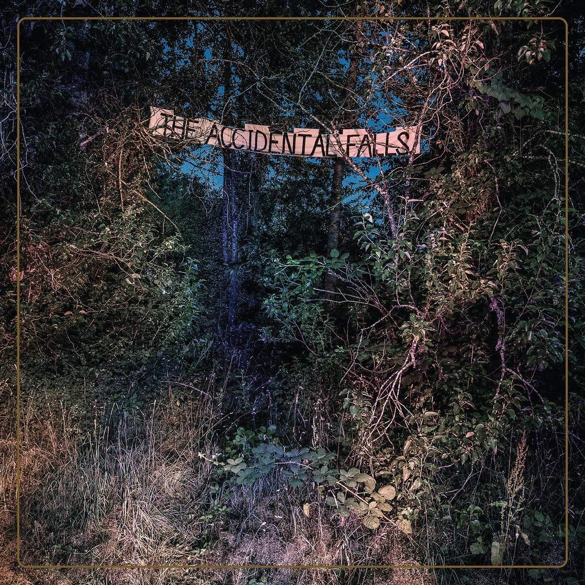 Eyelids Accidental Falls LP Vinyl NEW