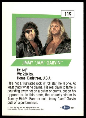 Fabulous Freebirds 1991 Impel WCW #119 Pro Wrestling Card - Afbeelding 2 van 2