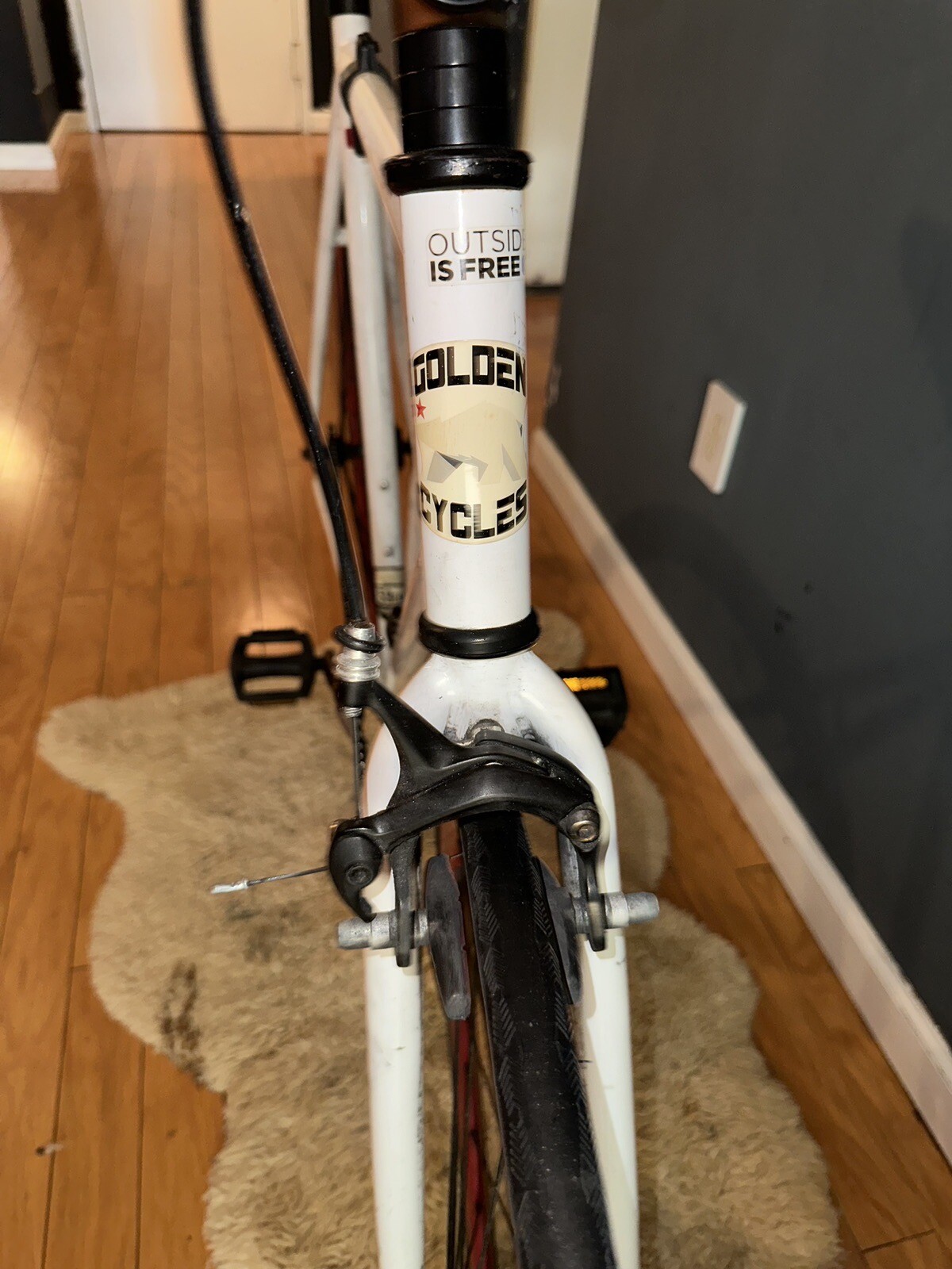 Fixed Gear Bicycle 29cm