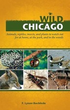 Wild Chicago: Animals, Reptiles, Insects, and Plants to Watch Out for at Home, 