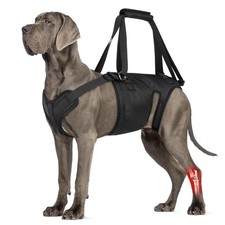 Dog Lift Harness Sling for Large Dogs Hind Leg Support Mobility Extra Large