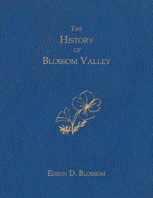 Edson D. Blossom The History of Blossom Valley (Taschenbuch)