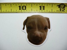 FUNNY DOG SMALL STICKER DECAL AX173 AWWW CUTIE SIZE FUN HI PET FUNNY