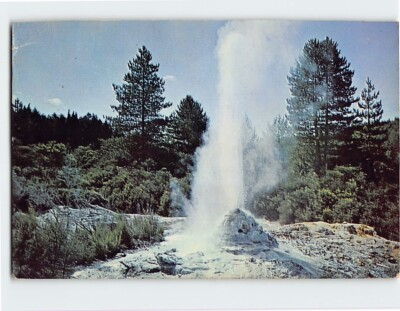 #ad Postcard Lady Knox Geyser Waiotapu Rotorua New Zealand $4.95