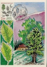 MAXIMAPHILIE / CARTE MAXIMUM PREMIER JOUR / NATURE DE FRANCE ARBRES OREANS 1985