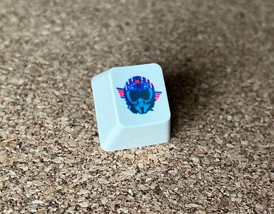 topgun fighter ibm Unicomp model m keys/keycap (Pearl)