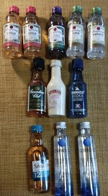 11x  Tanqueray Gin, Whisky,Baileys Vodka, 50 ml Fl. Miniaturen MiniaturenCanada