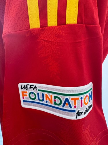 Signed LUIS DE LA FUENTE Shirt - Spain Euro 2024 Final - PROOF/COA - - Picture 6 of 7