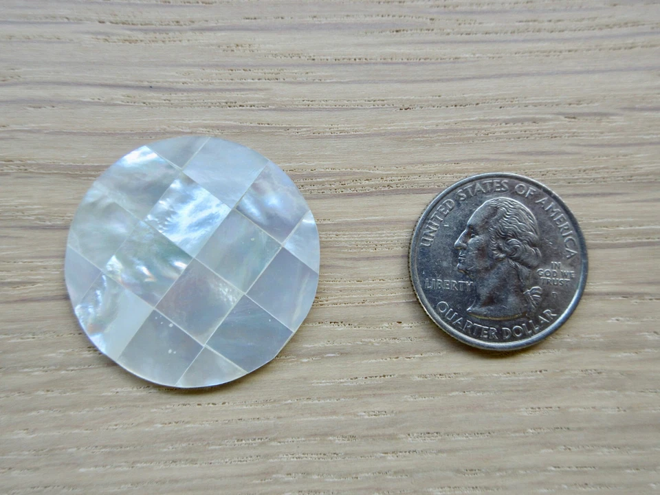 Moneda Moneda Moneda MI MONEDA Grande Natural Nácar GAUDÍ BLANCA NUEVA DIFÍCIL DE ENCONTRAR Foto 4 de 4