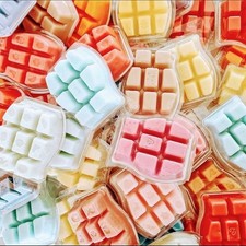 Scentsy Bars Duftwachs | Neu & OVP | viele verschiedene Düfte