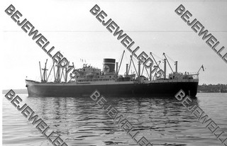 Altes Schiffsnegativ."Scottish Star".Frachtschiff auf der Blue Line Flotte.#661