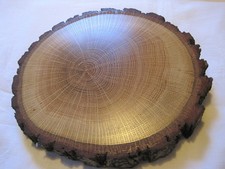 1 x Holzscheibe Eiche 20 cm gewachst Astscheiben Baumscheiben Hochzeit Deko