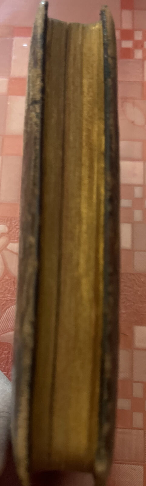 Foto 8 di 9