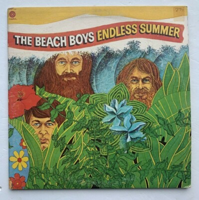 The Beach Boys Endless Summer LPレコード The Beach Boys - Endless Summer - Amazon.com Music
