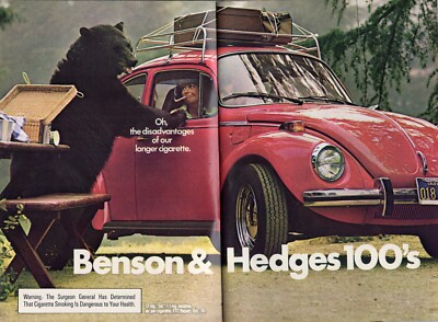 1975 BENSON & HEDGES 100's CIGARETTE AD ~ VOLKSWAGON BUG BLACK BEAR @ PICNIC