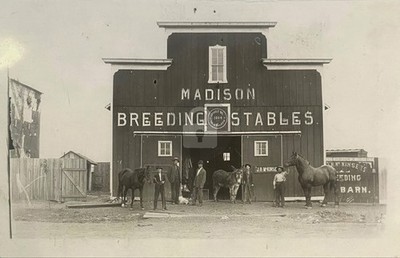 1900s Madison Breeding Stables Horses Madison Kansas KS RPPC Photo Postcard COPY