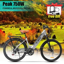 750W Ebike 26" Electric Bike Bicycle CommuterTire Mountain Bikes Adults GREY