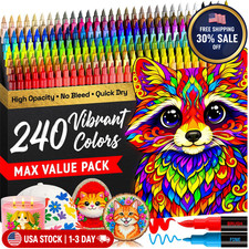 240 Dual Tip Acrylic Paint Markers Pen Set for Rock Wood Craft  School Supplies