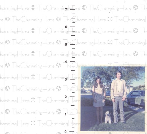 Vintage zdjęcie lata 70. nastolatek rodzeństwo z pudlem pies na podwórku migawka  - Zdjęcie 2 z 2