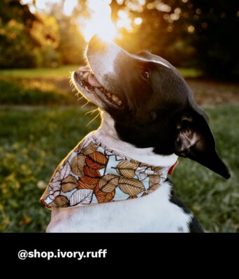 100% USA Handcrafted Reversible Dog Bandana w/ Touch