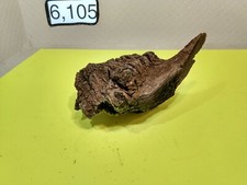 Natural Driftwood Aquarium Terrarium Aquascape Garden Decor Unique Amazing Wood