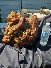 Carnelian Agate w/ Plumes 39lb XL specimen (PNW)