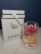 LOVAPPY Preserved Pink Carnation in Glass Dome Romantic w/ USB for Light in box