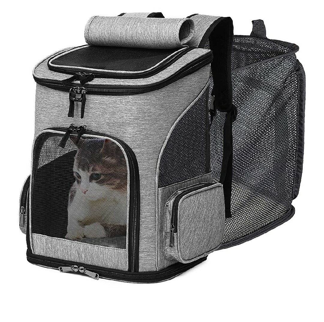 petsfit comfort backpack dog carrier