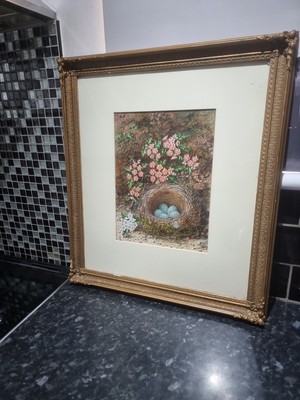 Vogelnest und Fauna vom Künstler J W Kettlewell. Vintage Aquarell Gemälde.