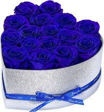 16 Preserved Forever Roses Heart Shape Box, Flowers Birthday Gifts for Women ...