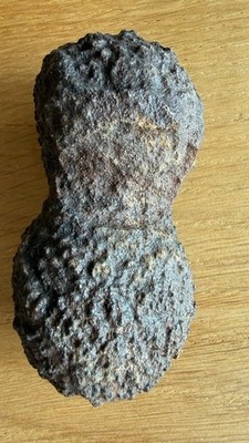 T34 XL Moqui Marbles -Lebende Steine - wunderschöne Twins - aus Utah/USA-Nr. T34