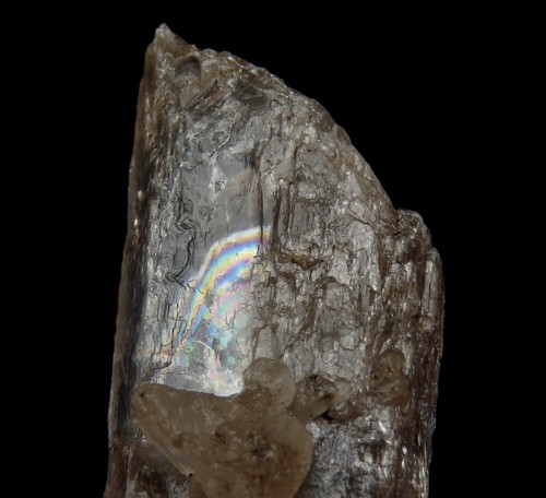 GYPSUM var SELENITE beautiful BIG crystal !!! Poland - Kuyavia - Dobrzyń /pi749 - Picture 9 of 9