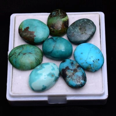 8 Stück Natürlich Tibbet Türkis 15mm-18mm Oval Cabochon Unbehandelt Edelsteine - Bild 1 von 4
