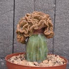 Foto 3 di 24