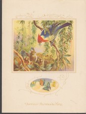 Furness Bermuda Line QTEV Queen of Bermuda Dinner Menu 10/11 1954