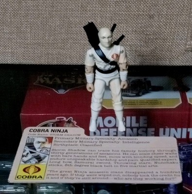GI Joe Storm Shadow Ninja (v1) Complet Avec Carte D'ID FR - Hasbro 1984