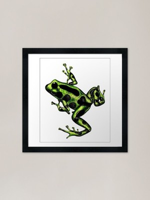 Grüner Giftpfeil Frosch Gerahmtes Kunstwerk P Gerahmtes Wandbild Poster Leinwanddruck Bild
