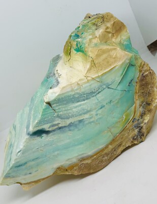 18+ Blue Opalized Petrified Wood