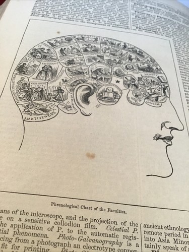 1883 The People's Cyclopedia of Universal Knowledge 3 Volumes Super Clean - Maps - Picture 19 of 24
