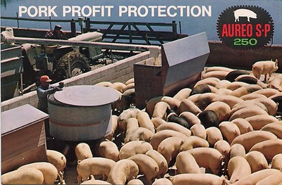 1970 Print Ad of Aureo SP 250 Pork Profit Protection Program 16 Page Brochure