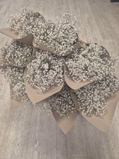  Natural Dried Gypsophila Flowers Bundles 