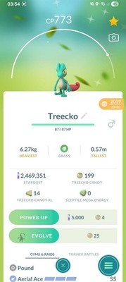 Shiny Treecko Pokemon Guaranteed Lucky From 2019 Registered Or 30 Days