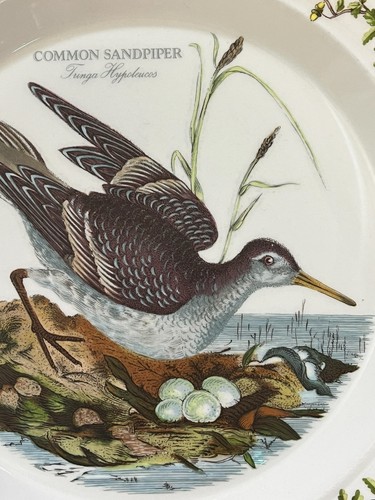 Portmeirion BIRDS OF BRITAIN 2 Dinner Plates SANDPIPER and Egret Acorn Leaf - Picture 11 of 16
