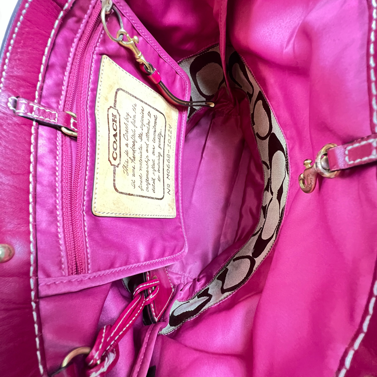COACH Stripe Pink Signature Bag カメラバッグ Coach Pink Striped