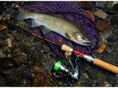 美品✨Silver Creek Glass Progressive 48UL−G PLAT/daiwa silver creek glass progressive 48ul g spinning