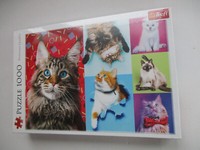 Trefl Puzzle 10591 Happy Cats 1000 Teile Puzzle Neu Ovp