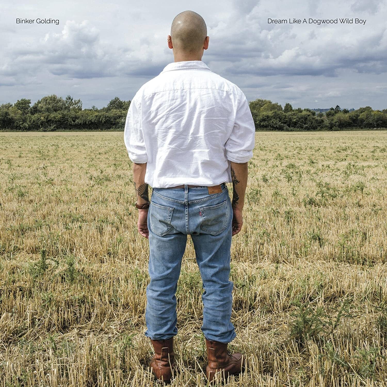 Альбом Бинкера Голдинга Dream Like a Dogwood Wild Boy (винил) 12 (ИМПОРТИРОВАН из Великобритании)