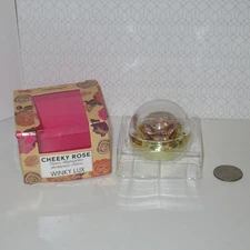 FULL SIZE Winky Lux Cheeky Rose Cream Highlighter In Champagne 4.8g 0.17oz