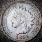 1895 Indian Head Cent - XF, Toned - 1C