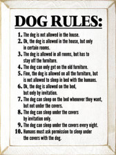 Dog Rules Funny Wood Sign Walnut Stain